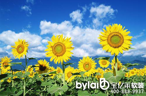
LdܛbO(sh)Ӌ(j)˾Сҁy쮋ߔ\(yn)