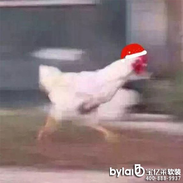 |Rڼ | (jin)sůıڼ+ħ^һϲg